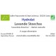 Hydrolat de Lavande Stoechas FR BIO 01