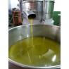 Huile d'olive Bio