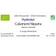 Hydrolat de Calament Nepeta FR-BIO-01